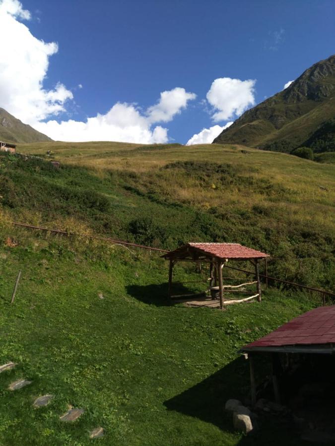 B & B Juta Kazbegi Eksteriør bilde